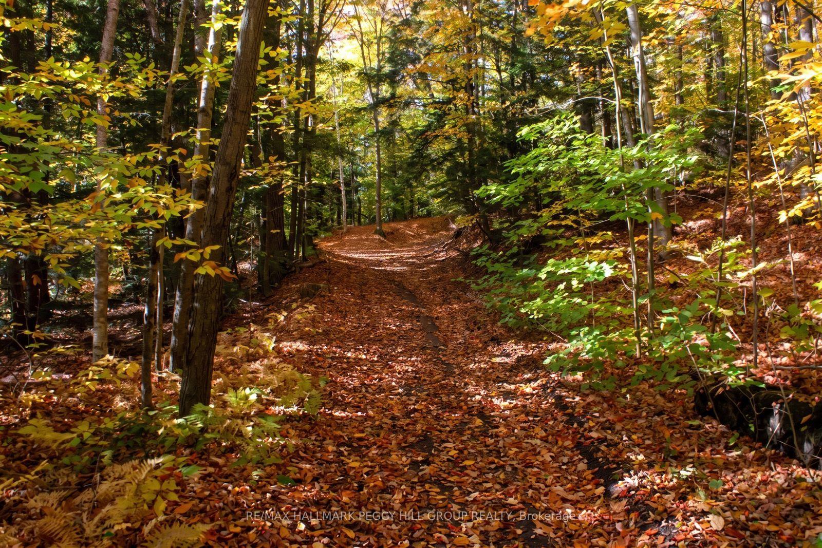 Photo 4 of Part Lot 25 Concession 1, Bracebridge, Draper — HOMEH