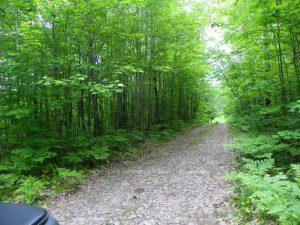 Photo of 50 Acres in Muskoka North of Bala - PCL 31045