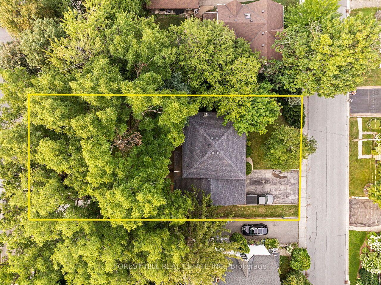 Photo 3 of 29 Mary Street, Milton, Old Milton — HOMEH