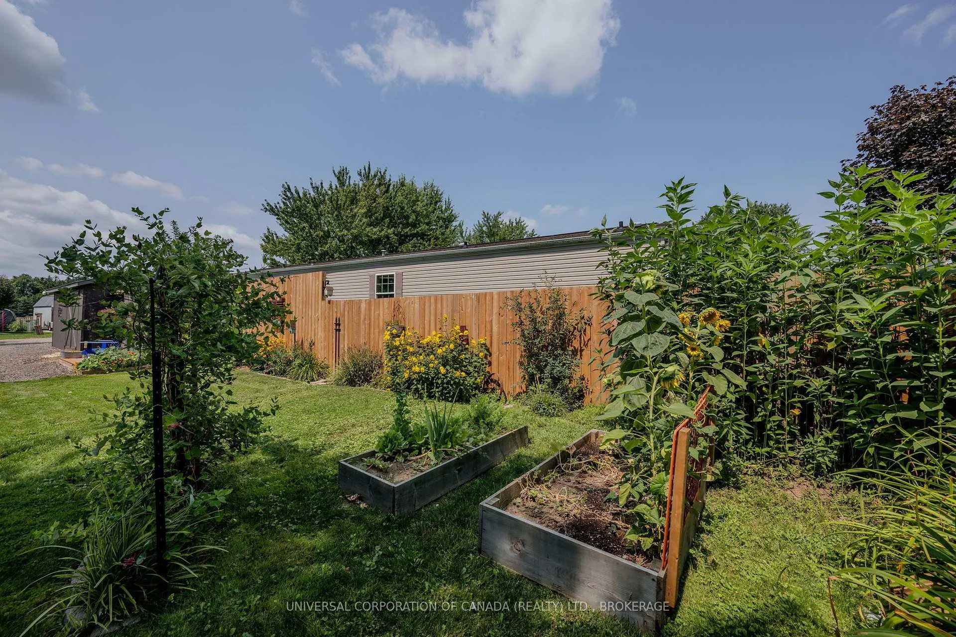 Photo 29 of 46 cedarville Street, Malahide, Lyons — HOMEH
