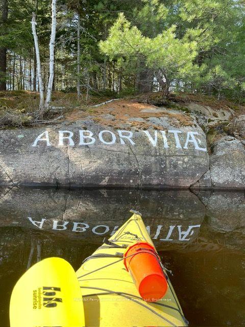 Photo 4 of 24 Arbor Vitae Island, Whitestone — HOMEH