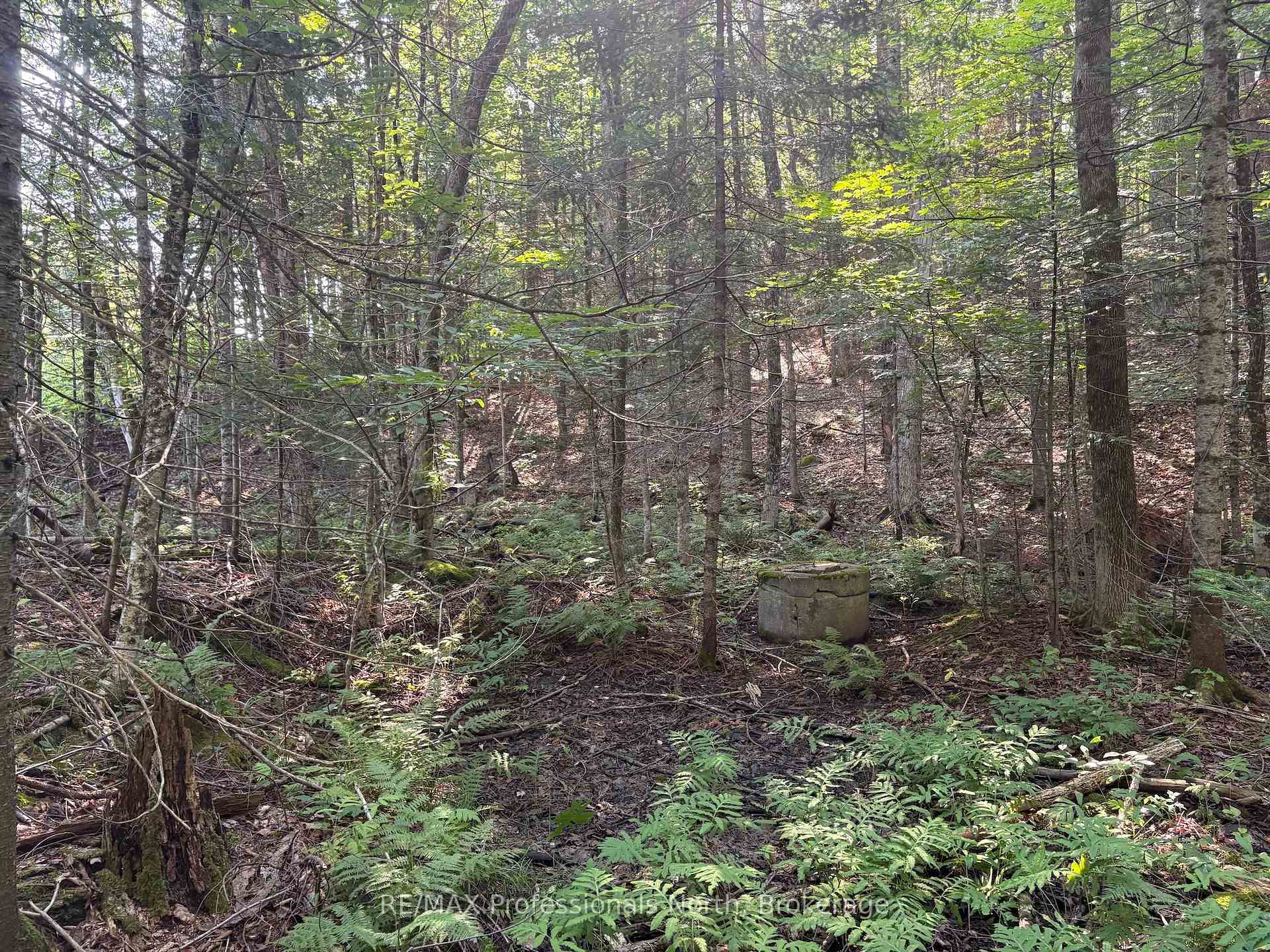 Photo 66 of Parish Line Road, Dysart et al, Dysart — HOMEH