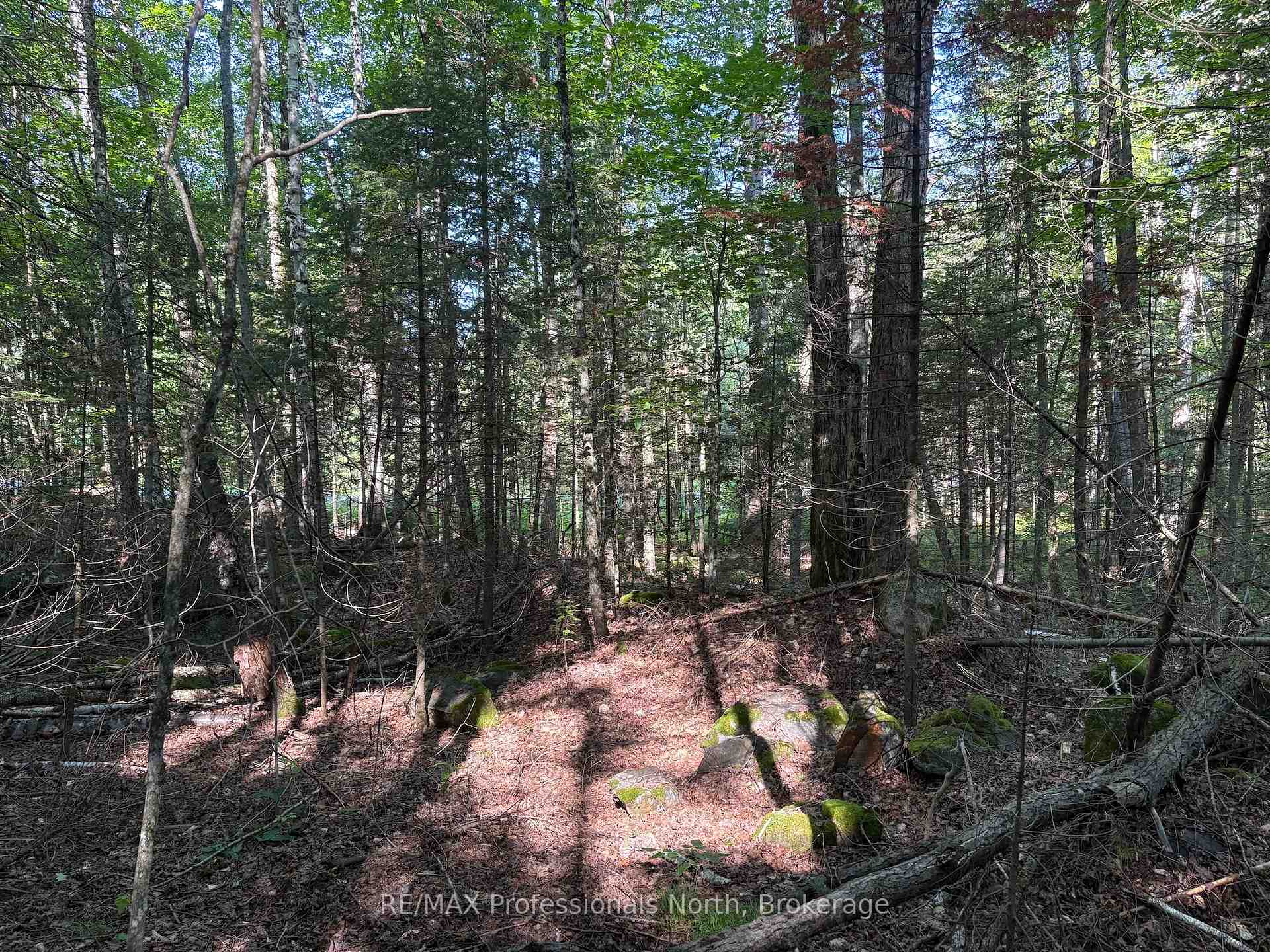 Photo 78 of Parish Line Road, Dysart et al, Dysart — HOMEH