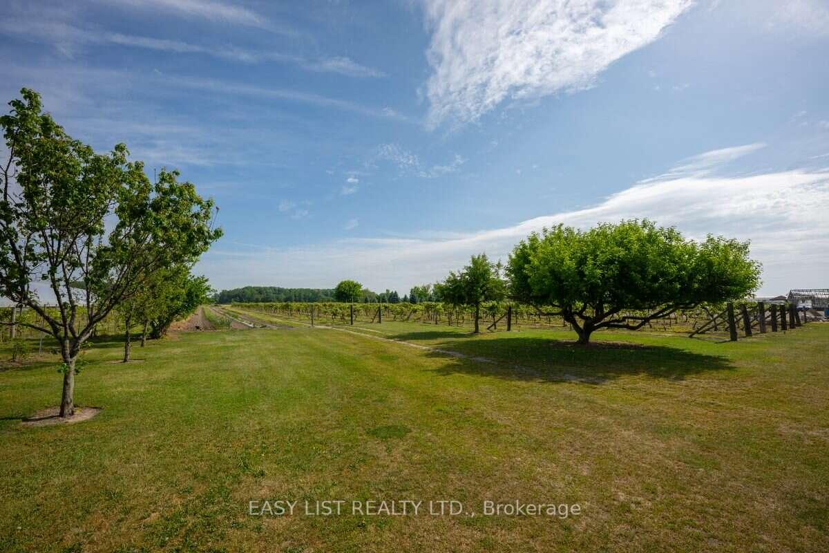 Photo 18 of 710 Seacliff Drive, Kingsville — HOMEH