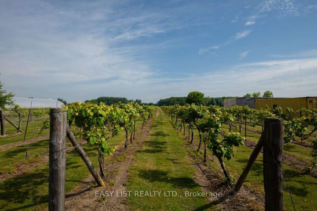Photo 19 of 710 Seacliff Drive, Kingsville — HOMEH