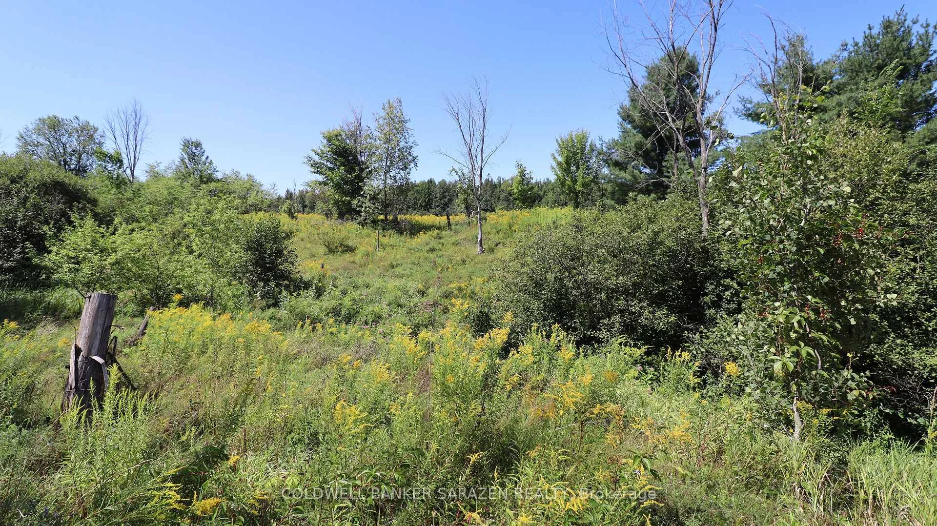 Photo 71 of 183 Jim Barr Road, Horton, Horton Twp — HOMEH