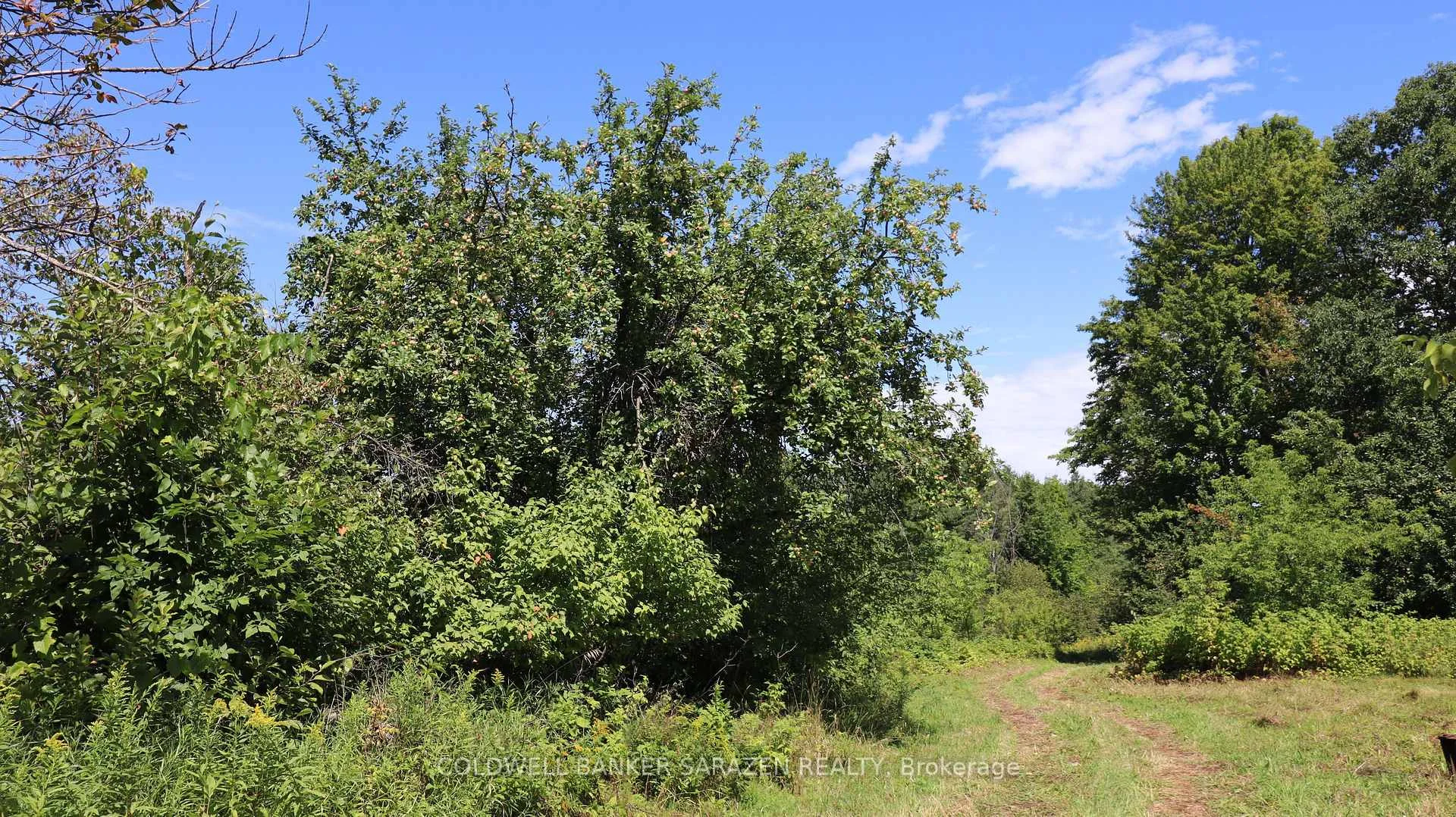 Photo 78 of 183 Jim Barr Road, Horton, Horton Twp — HOMEH