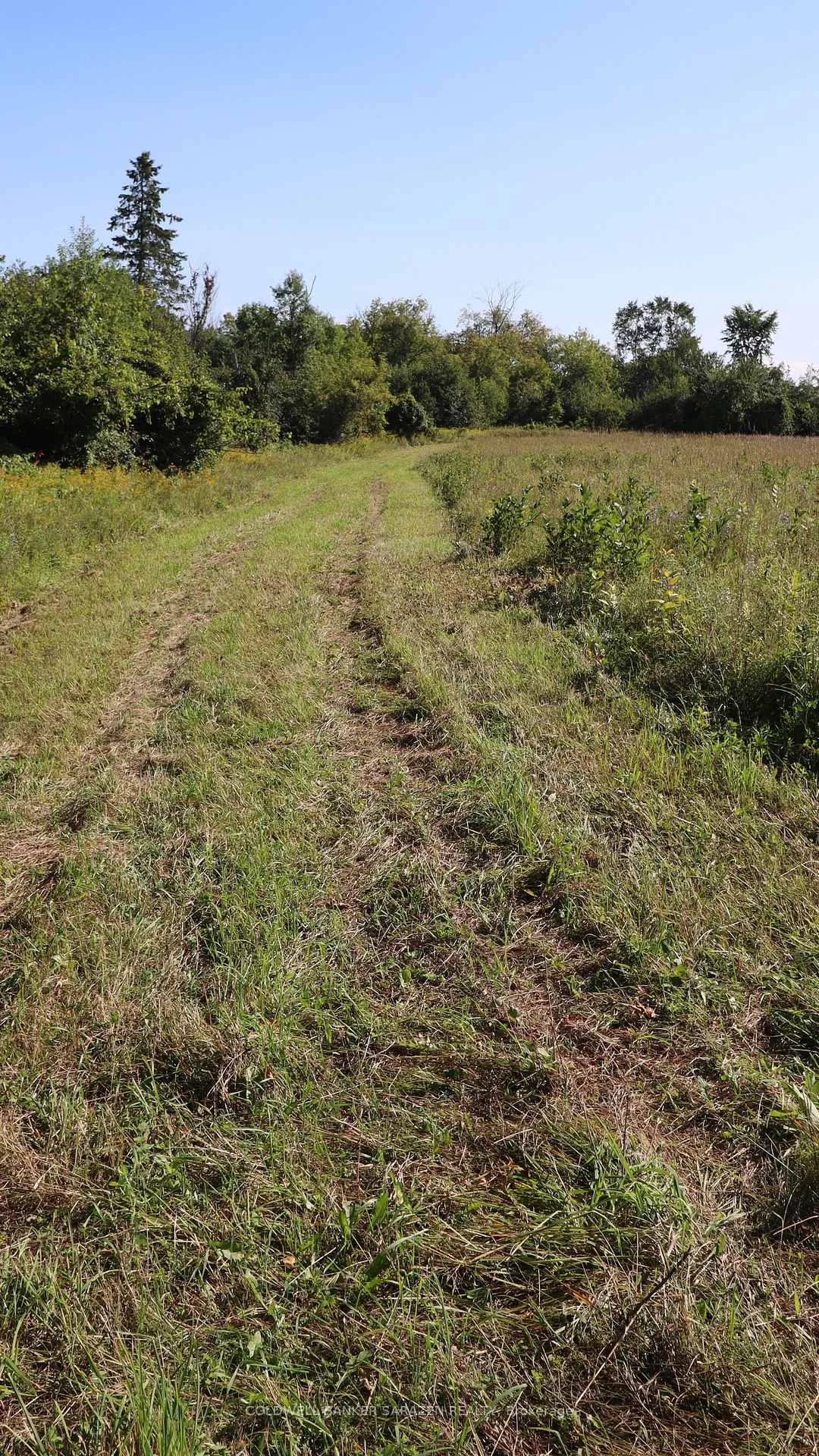Photo 83 of 183 Jim Barr Road, Horton, Horton Twp — HOMEH