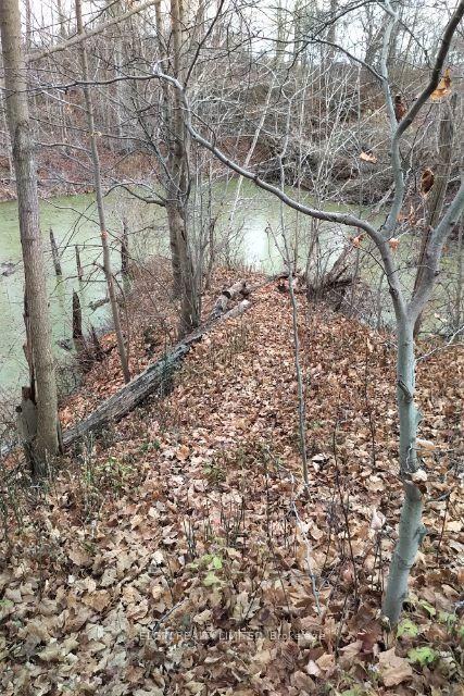 Photo 14 of 46420 Methodist Street, Central Elgin, Sparta — HOMEH