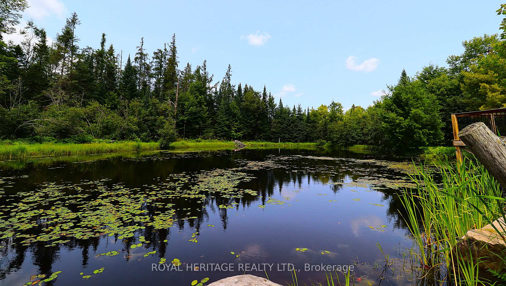 Photo 4 of 1118 Dutch Line Road E, Trent Lakes — HOMEH