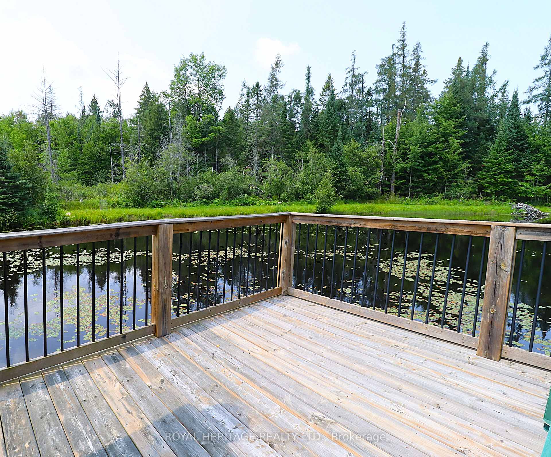 Photo 6 of 1118 Dutch Line Road E, Trent Lakes — HOMEH