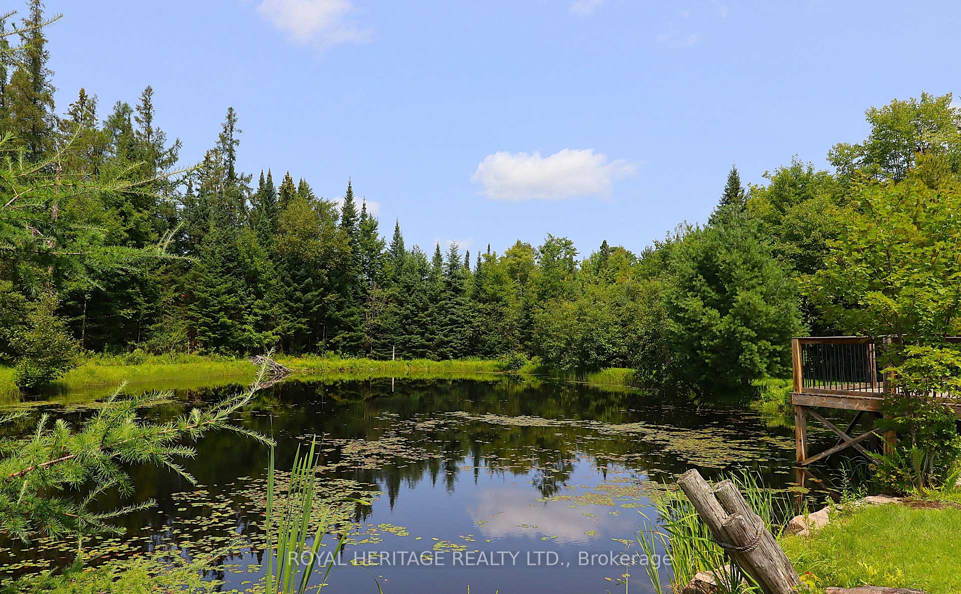 Photo 8 of 1118 Dutch Line Road E, Trent Lakes — HOMEH