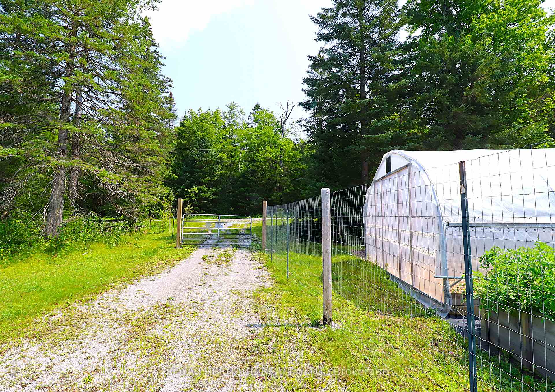 Photo 10 of 1118 Dutch Line Road E, Trent Lakes — HOMEH