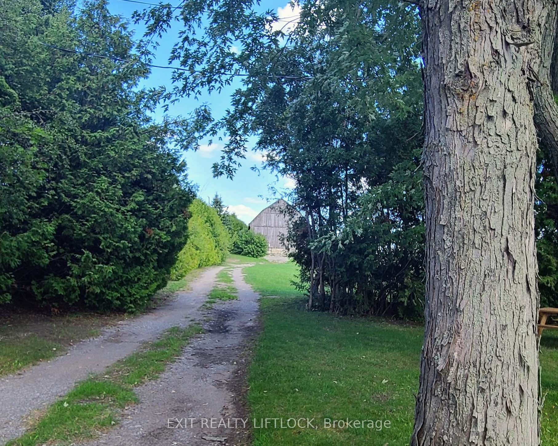 Photo 29 of 4922 Highway 7, Kawartha Lakes, Omemee — HOMEH
