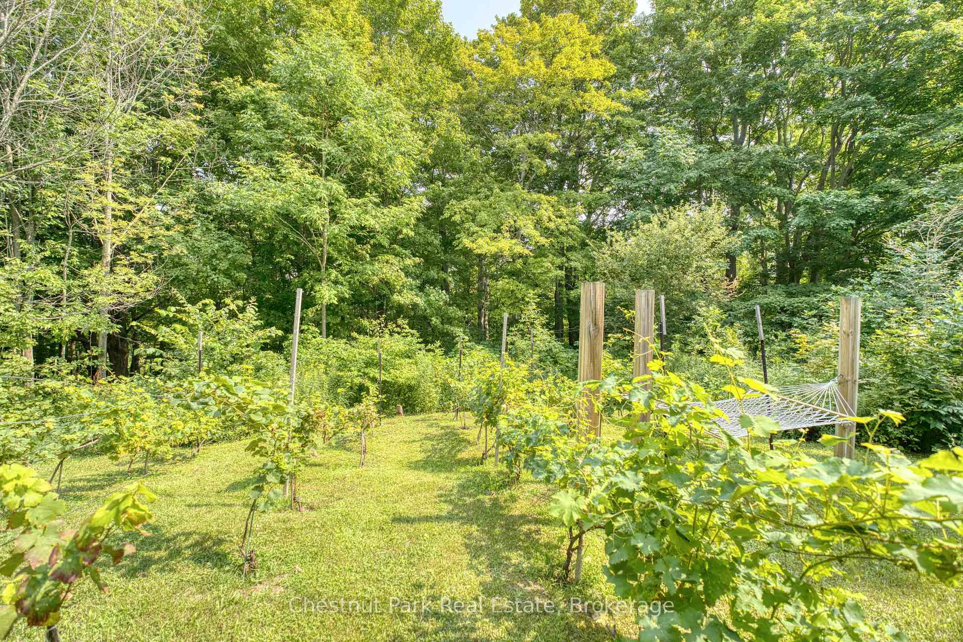 Photo 34 of 76 Everett Road, South Bruce Peninsula — HOMEH