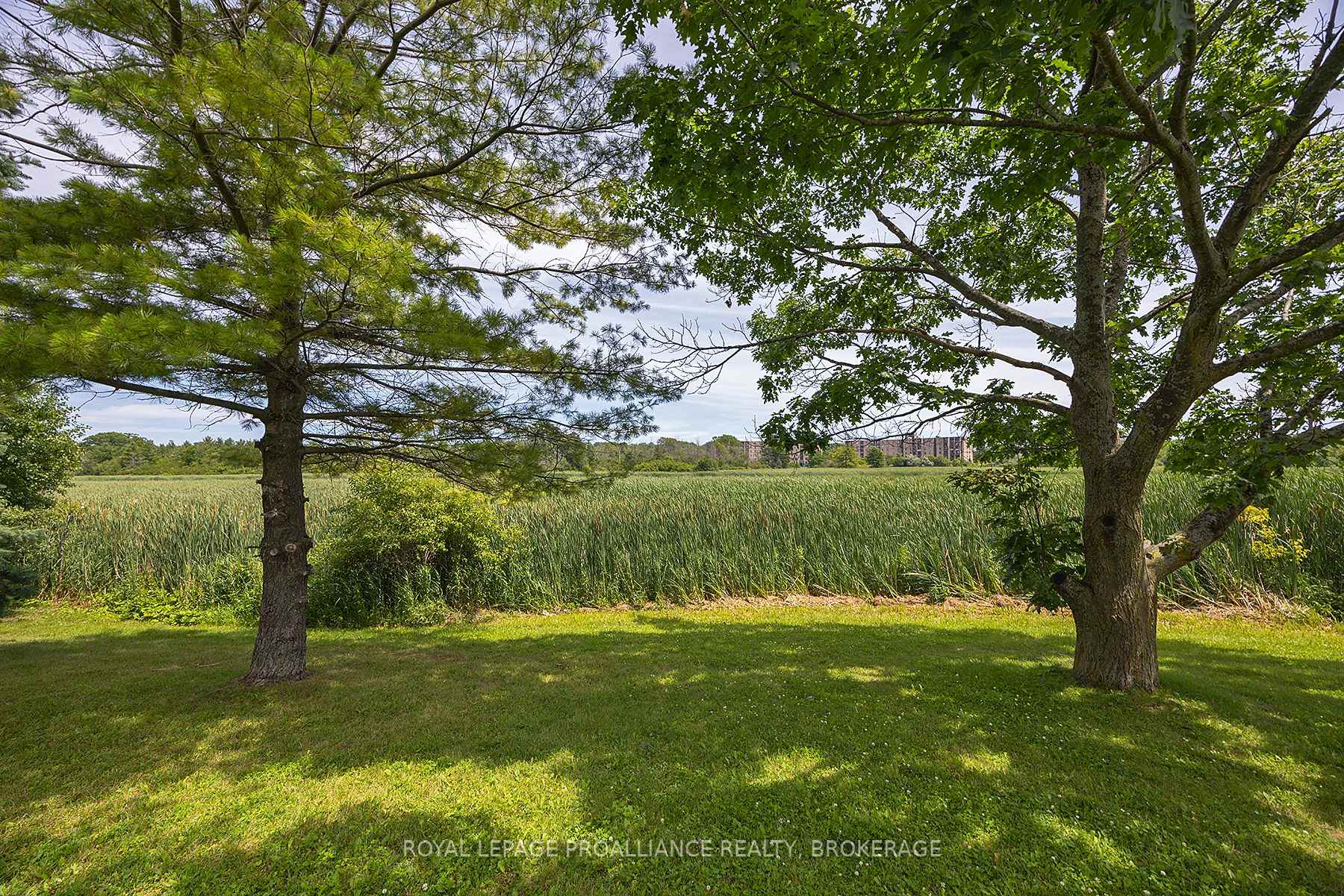 Photo 7 of Unit 201, 580 Armstrong Road, Kingston, East Gardiners Rd — HOMEH