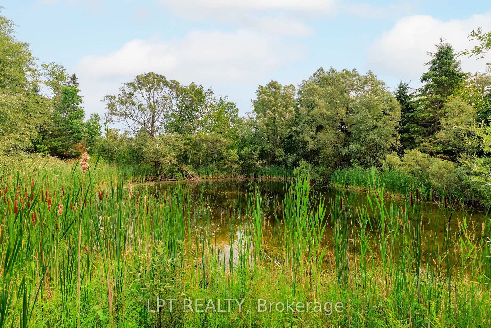 Photo 9 of 23983 Weirs Side Road, Georgina, Pefferlaw — HOMEH