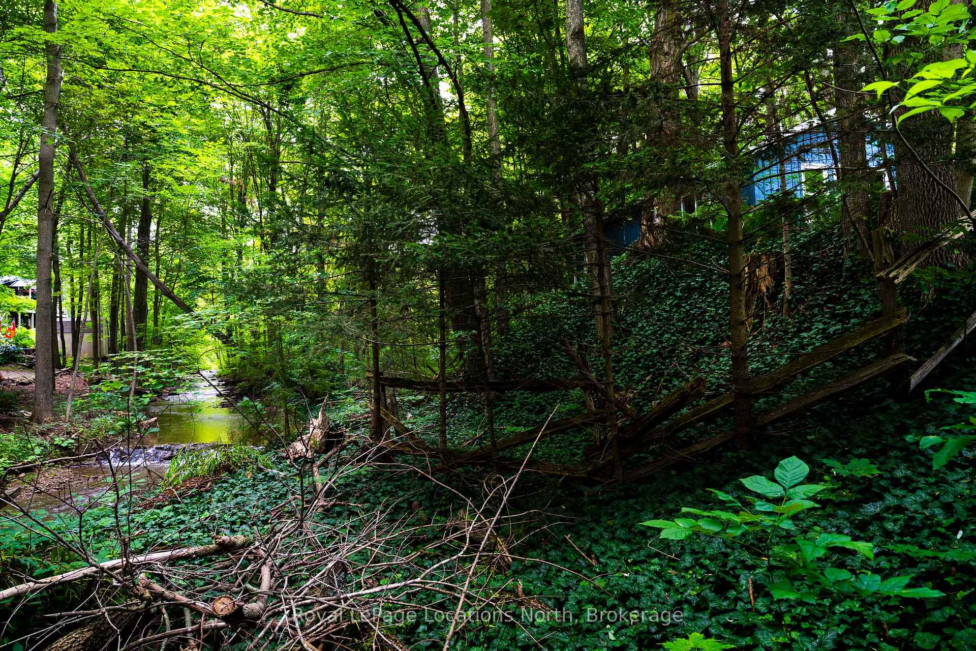 Photo 18 of 3 Lavender Hill Road, Clearview, Rural Clearview — HOMEH
