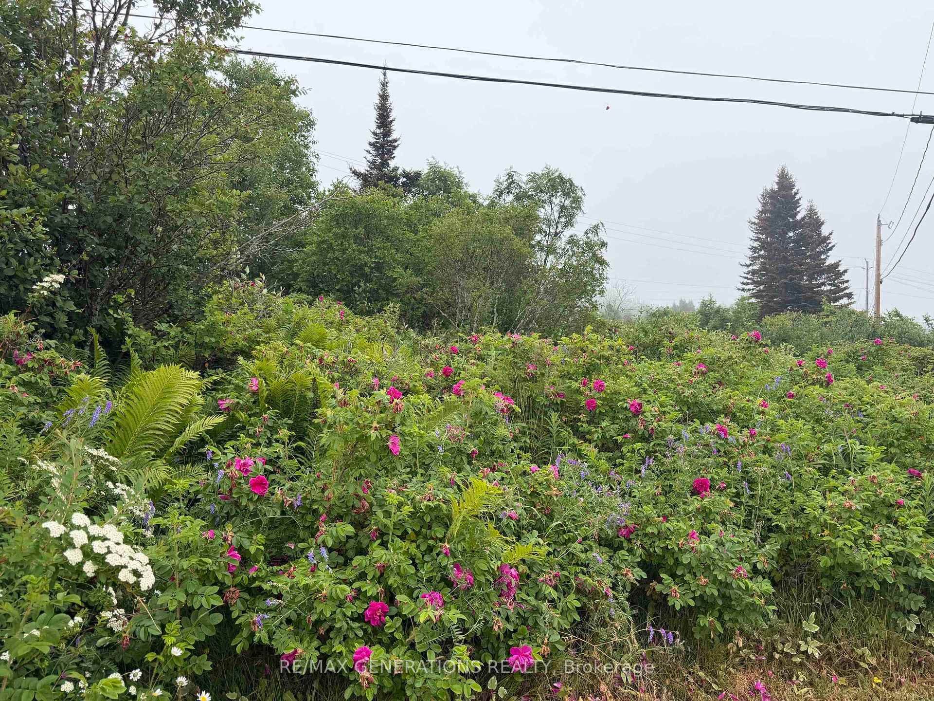 Photo 5 of 10 Princess Avenue, Terrace Bay, TB-92 — HOMEH