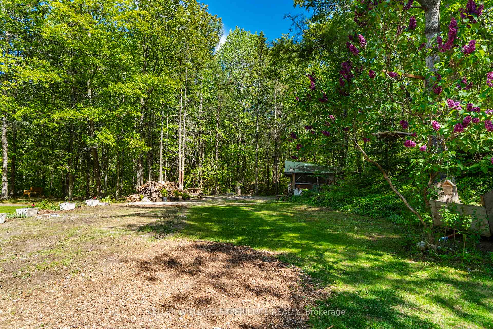 Photo 5 of 181 Park Road, Tiny, Rural Tiny — HOMEH
