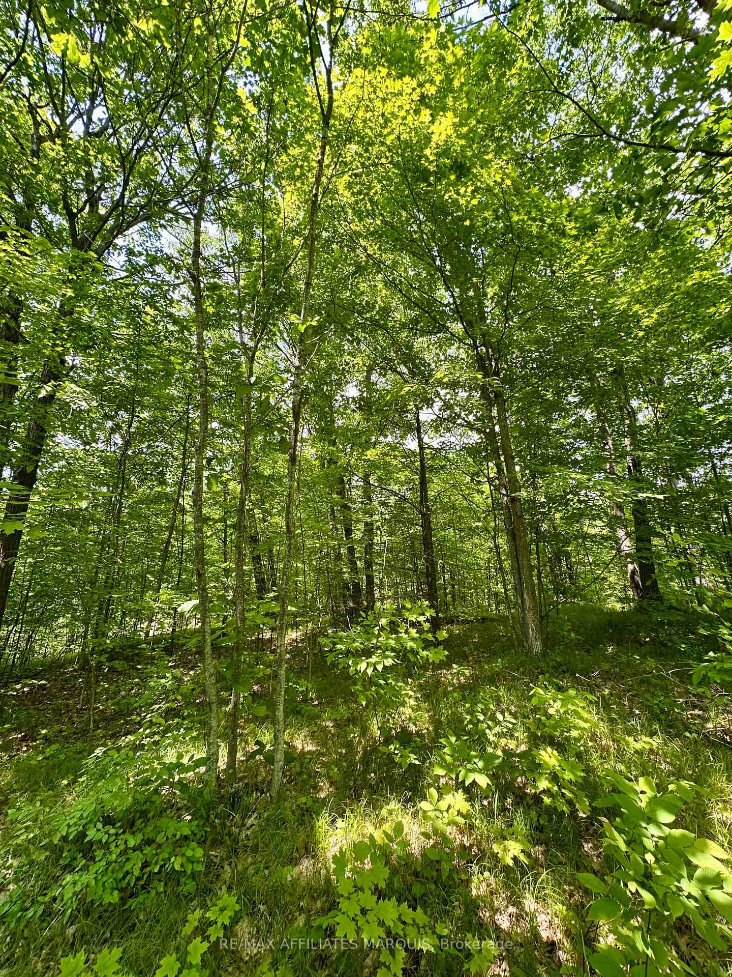 Photo 6 of 938 Crow Lake Road, Frontenac, Frontenac Centre — HOMEH