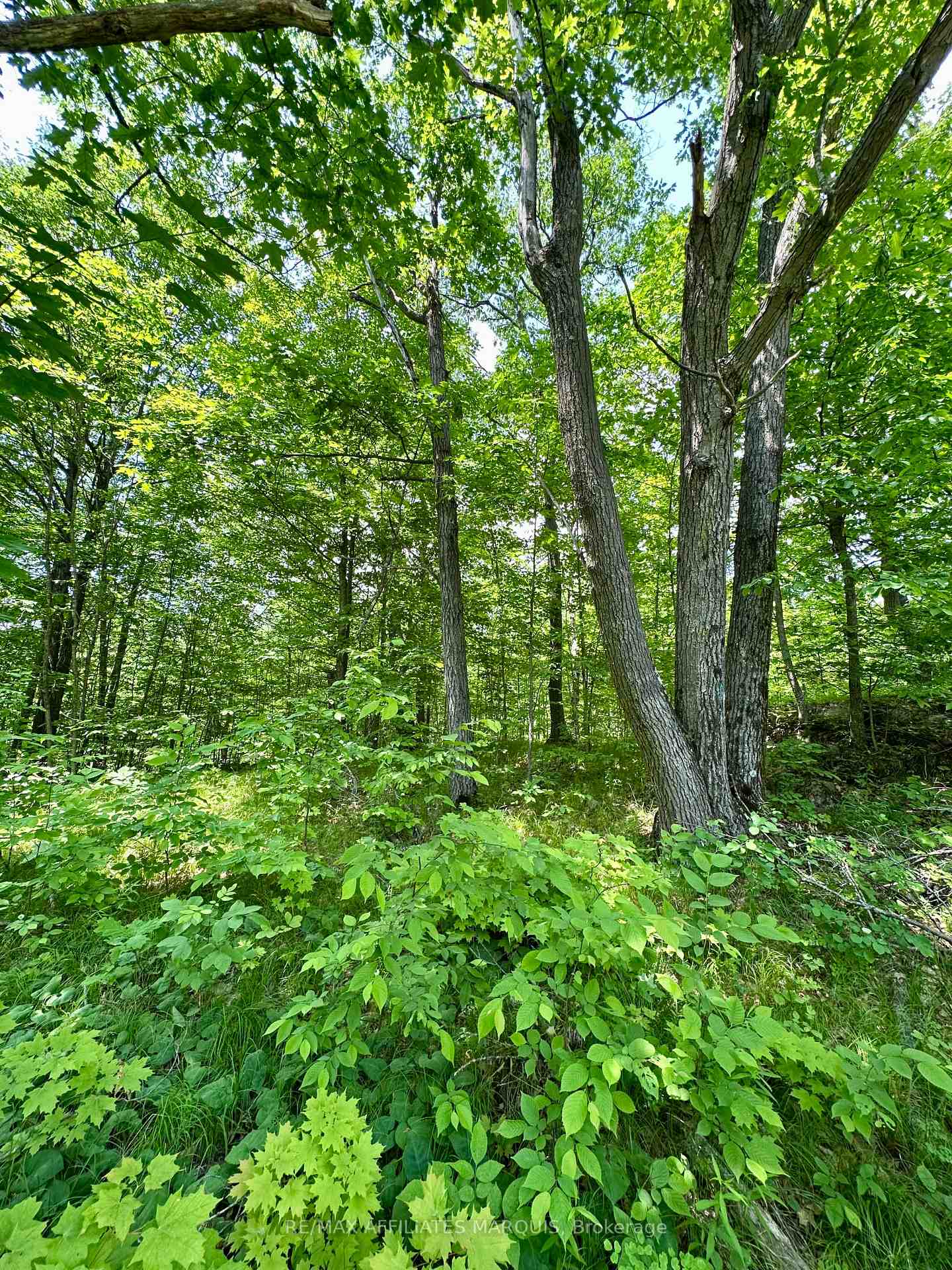 Photo 7 of 938 Crow Lake Road, Frontenac, Frontenac Centre — HOMEH