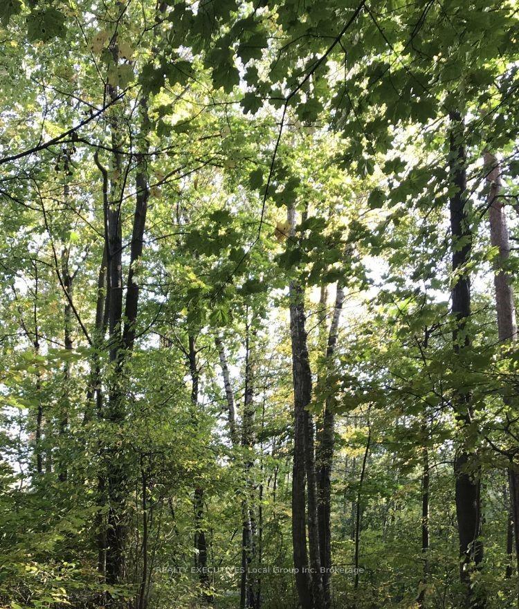 Photo 8 of CON 8 Pt Lot 35, Bonfield — HOMEH
