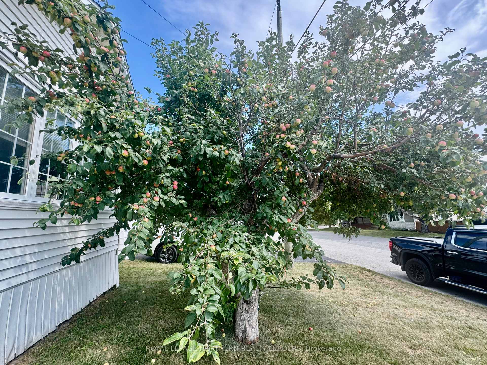 Photo 21 of 30 Fern Avenue, Timmins, SP - Main Area — HOMEH