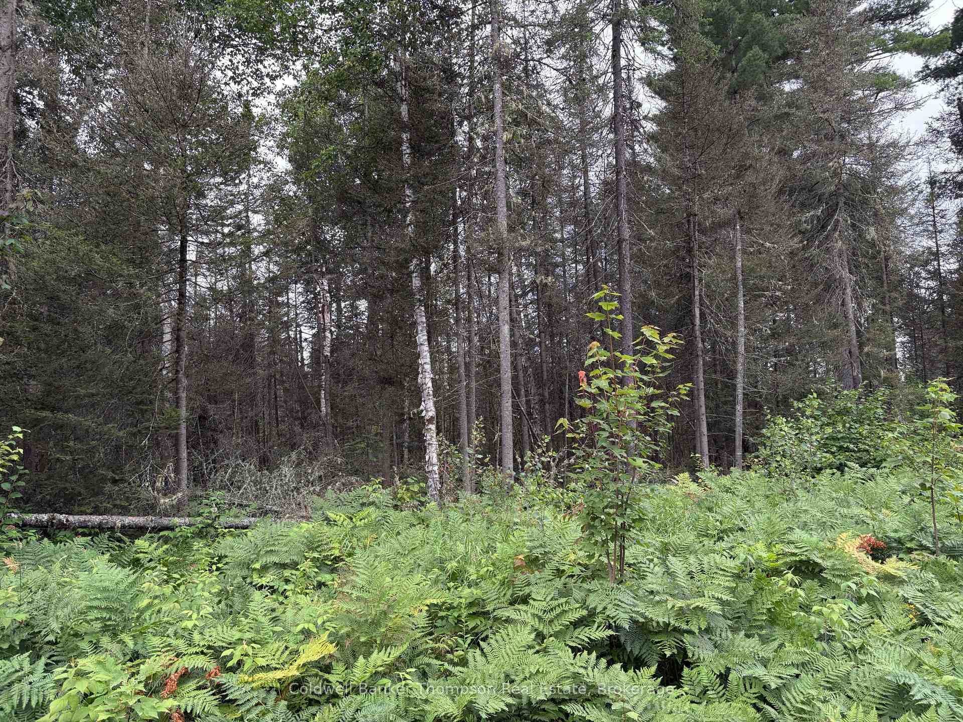 Photo 4 of 818 Sand Hill Road, Joly — HOMEH