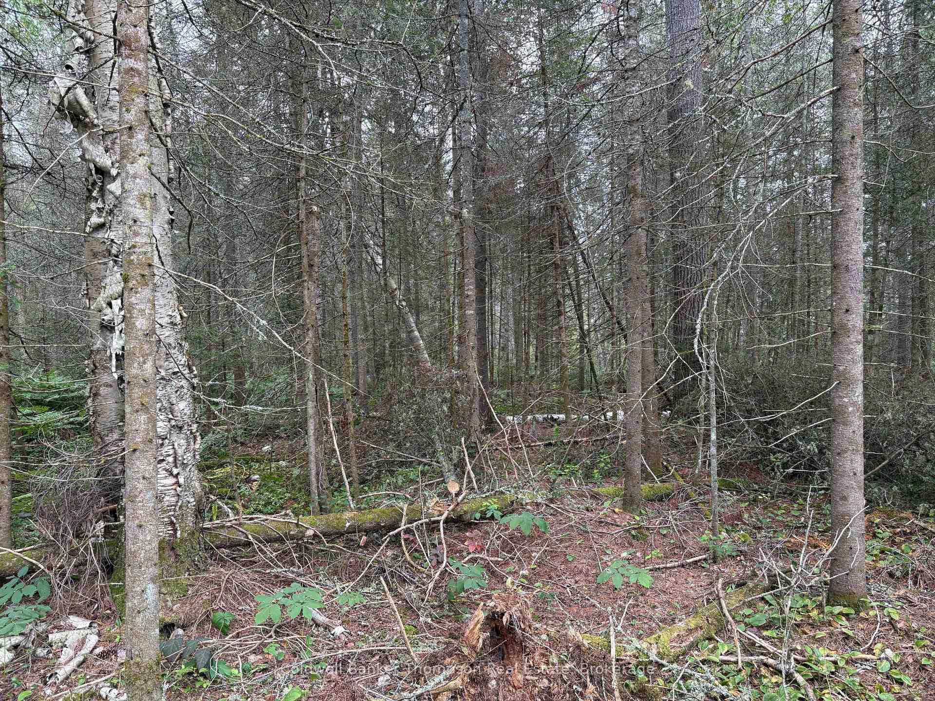 Photo 6 of 818 Sand Hill Road, Joly — HOMEH