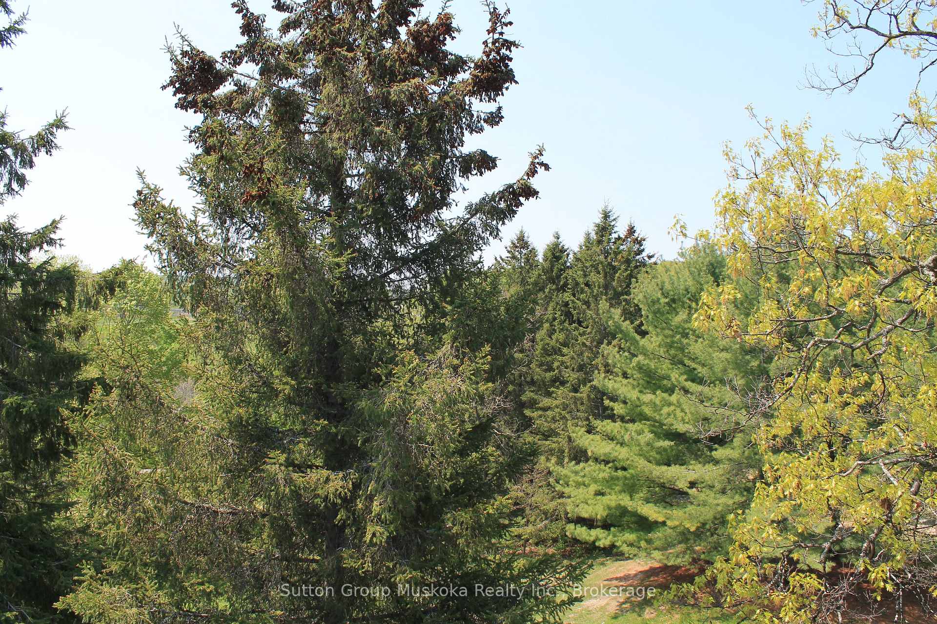 Photo 12 of Unit 52-305, 1235 Deerhurst Drive, Huntsville, Chaffey — HOMEH