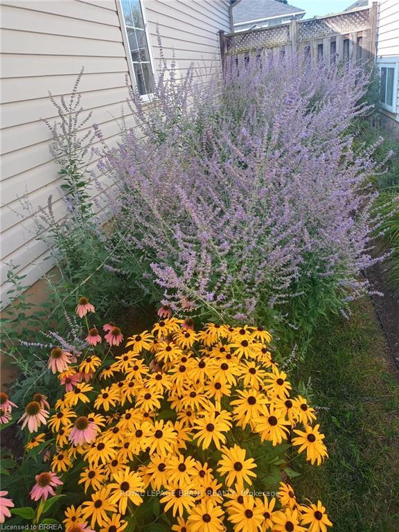 Photo 33 of 25 Sudds Lane, Brantford — HOMEH