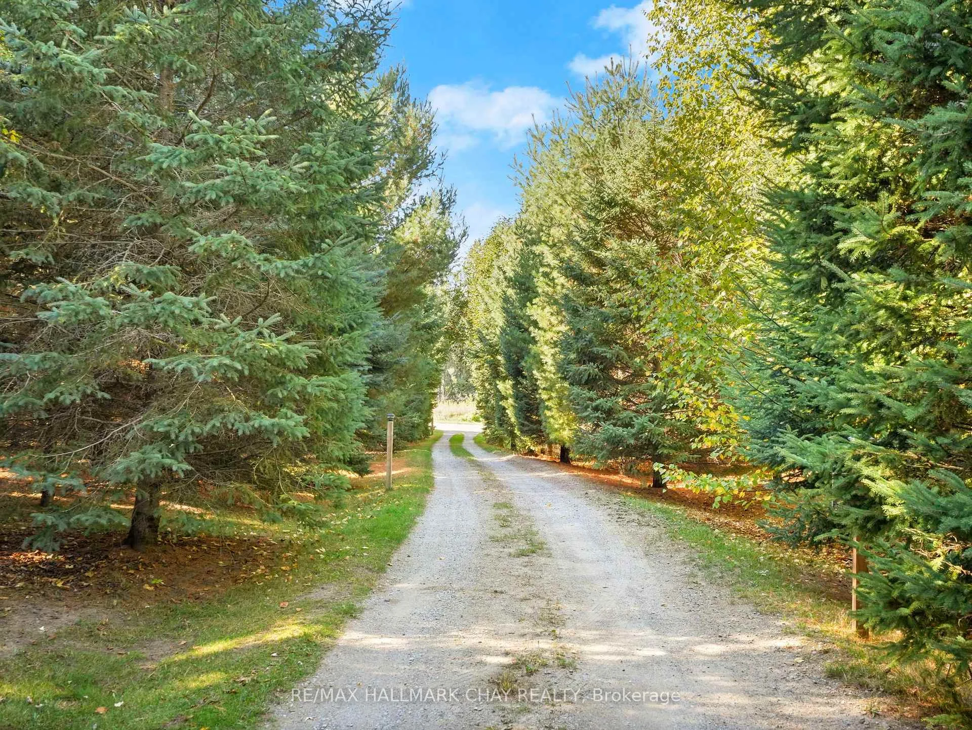 Photo 51 of 2043 Concession 5 Road, Adjala-Tosorontio, Rural Adjala-Tosorontio — HOMEH