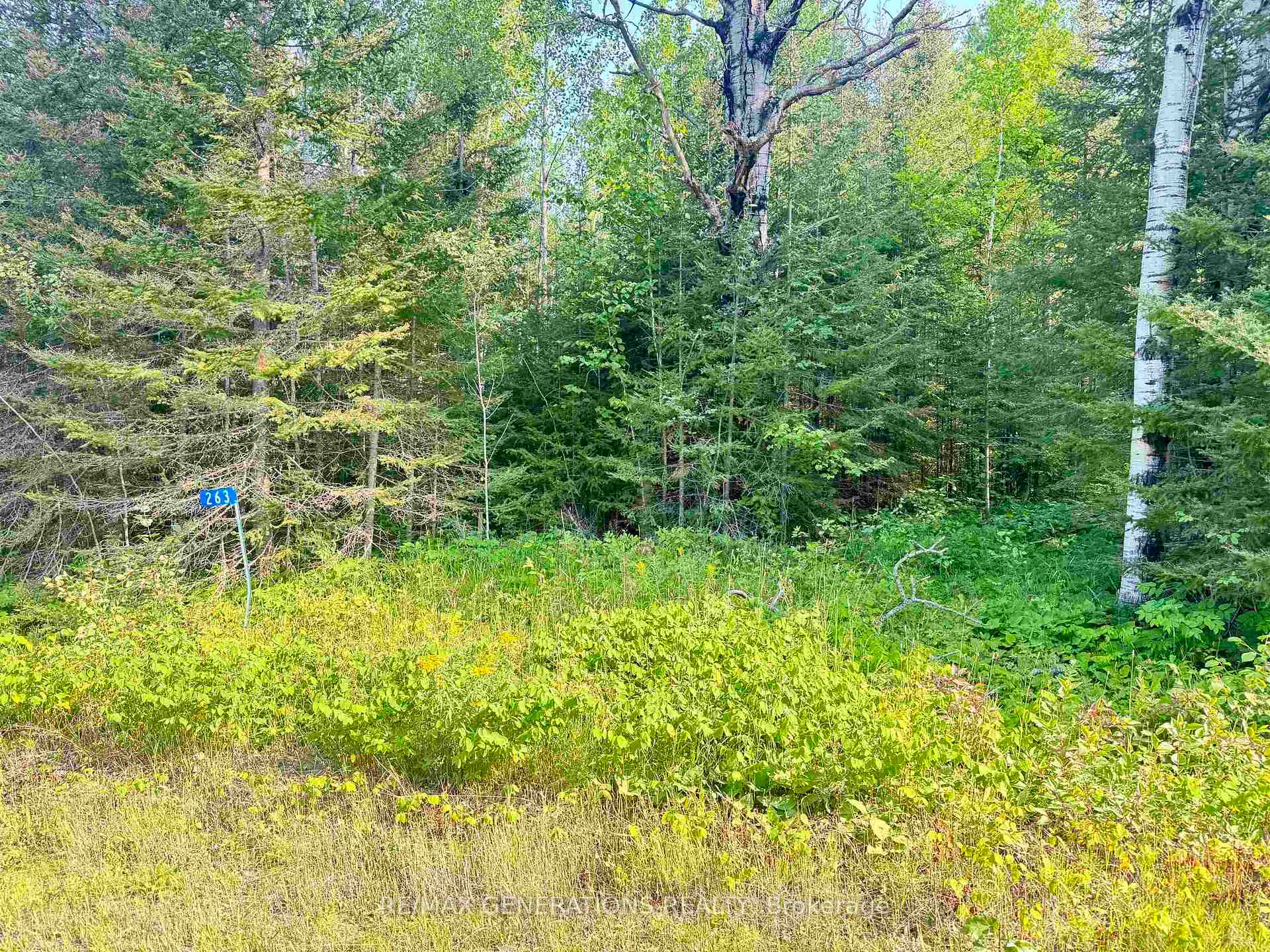 Photo of 263 Cloud River Road E