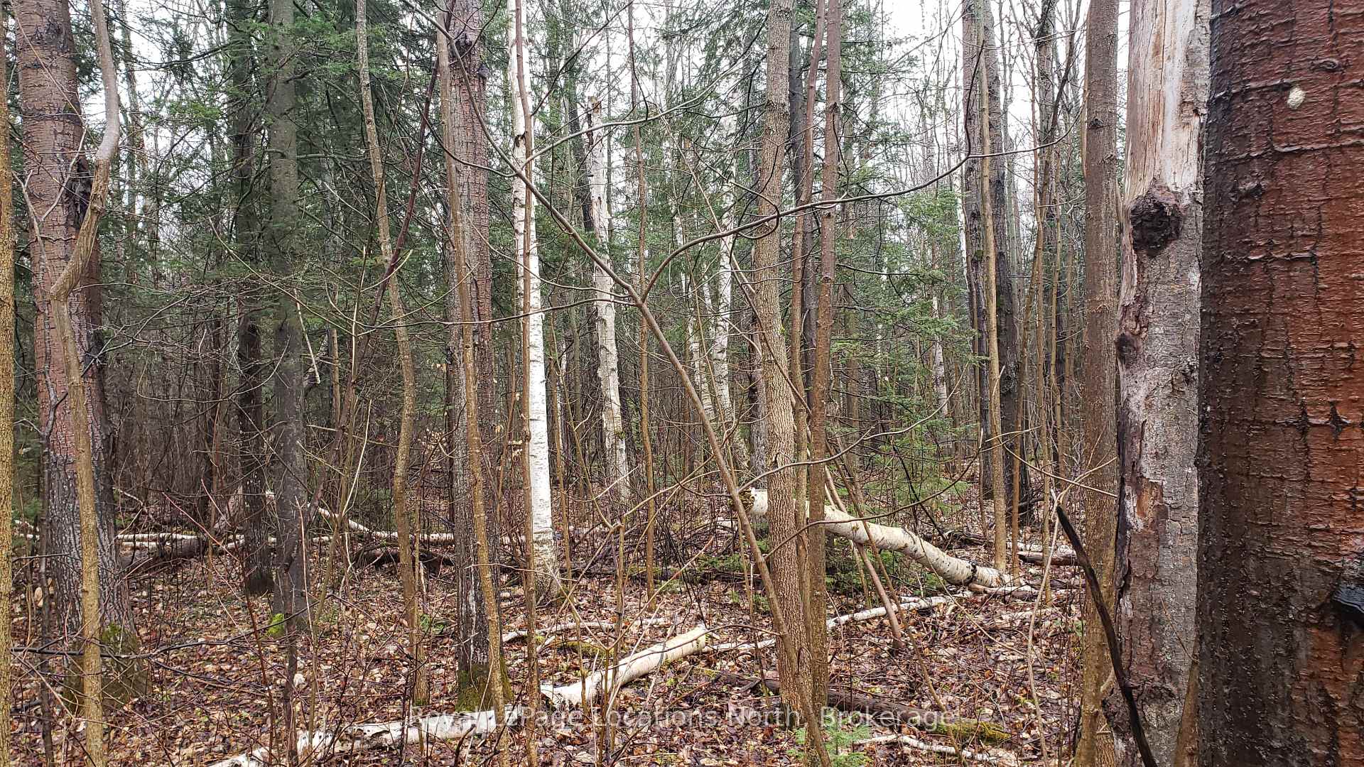 Photo 4 of 6125 Second Concession Road, Clearview, Rural Clearview — HOMEH