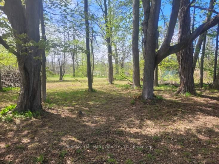 Photo 25 of 26 Lakeshore Road W, Oro-Medonte, Rural Oro-Medonte — HOMEH