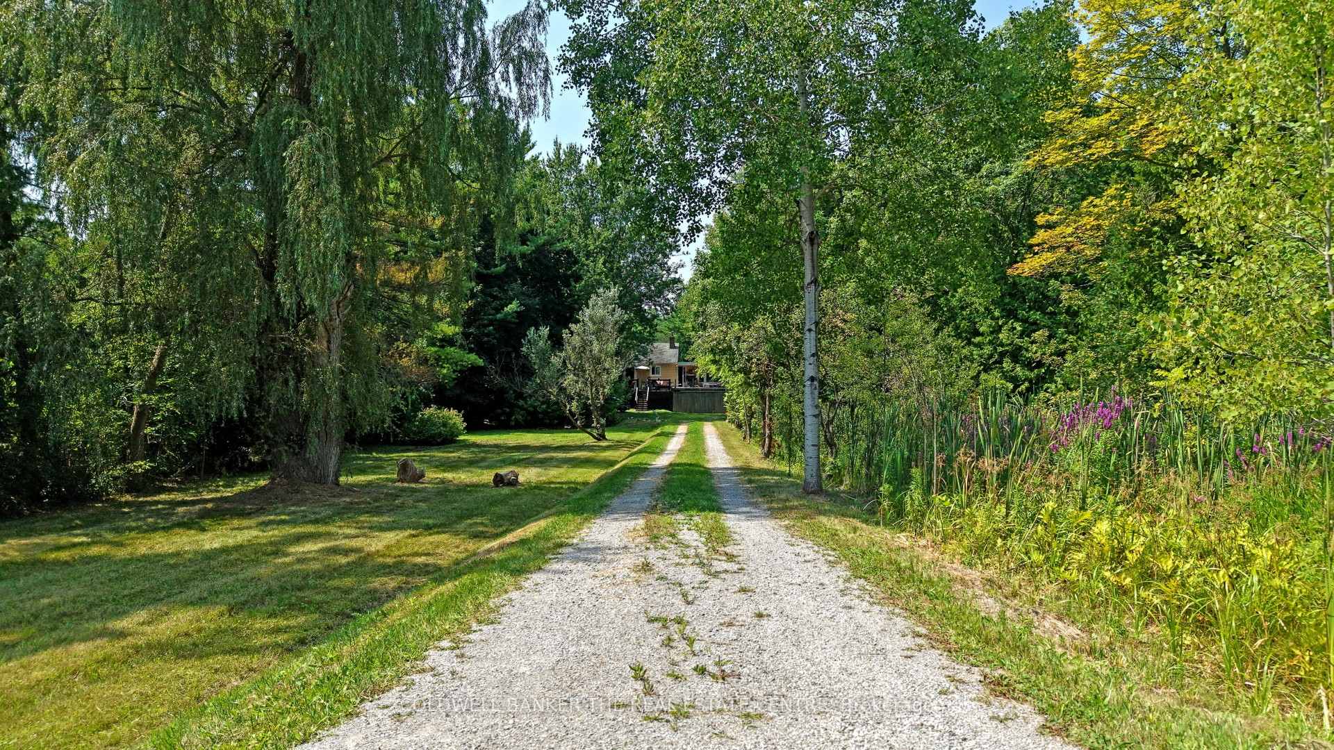 Photo 3 of 15600 Weston Road, King, Rural King — HOMEH