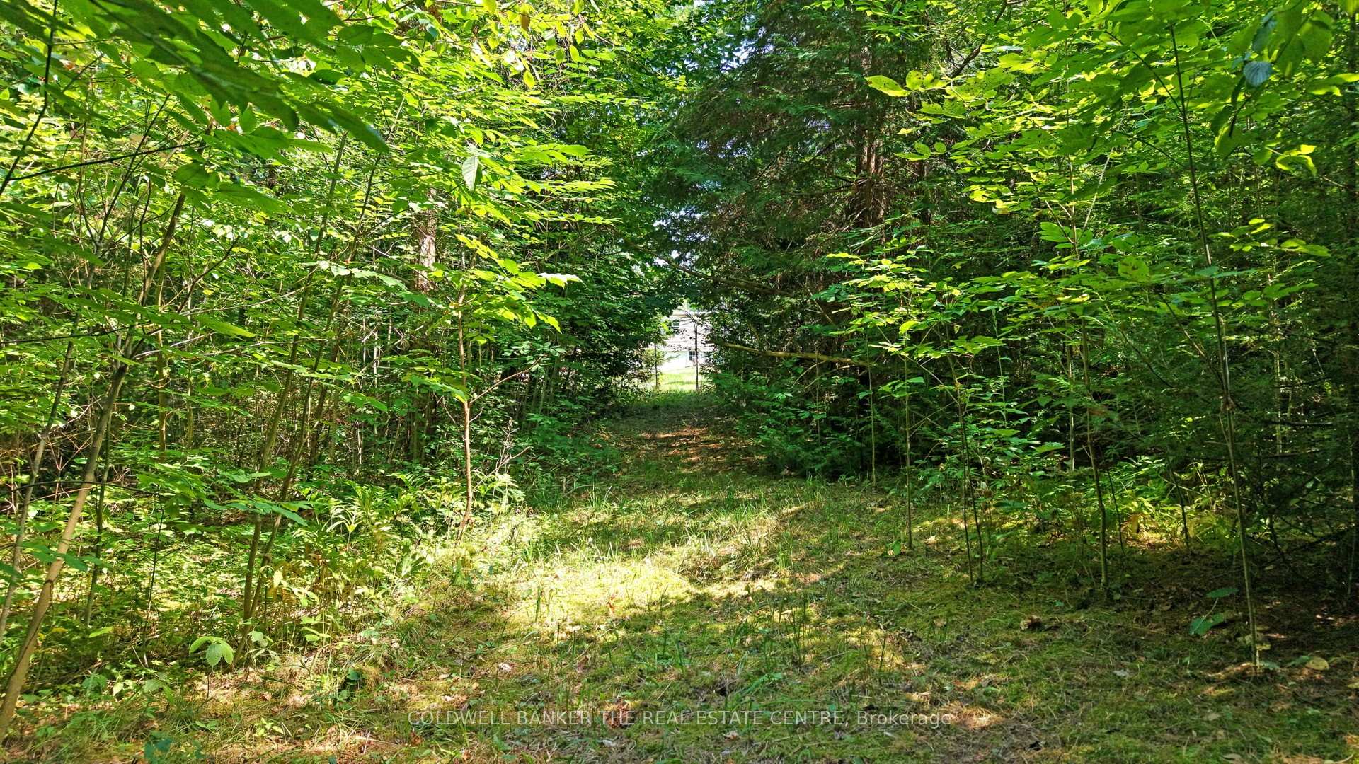 Photo 11 of 15600 Weston Road, King, Rural King — HOMEH