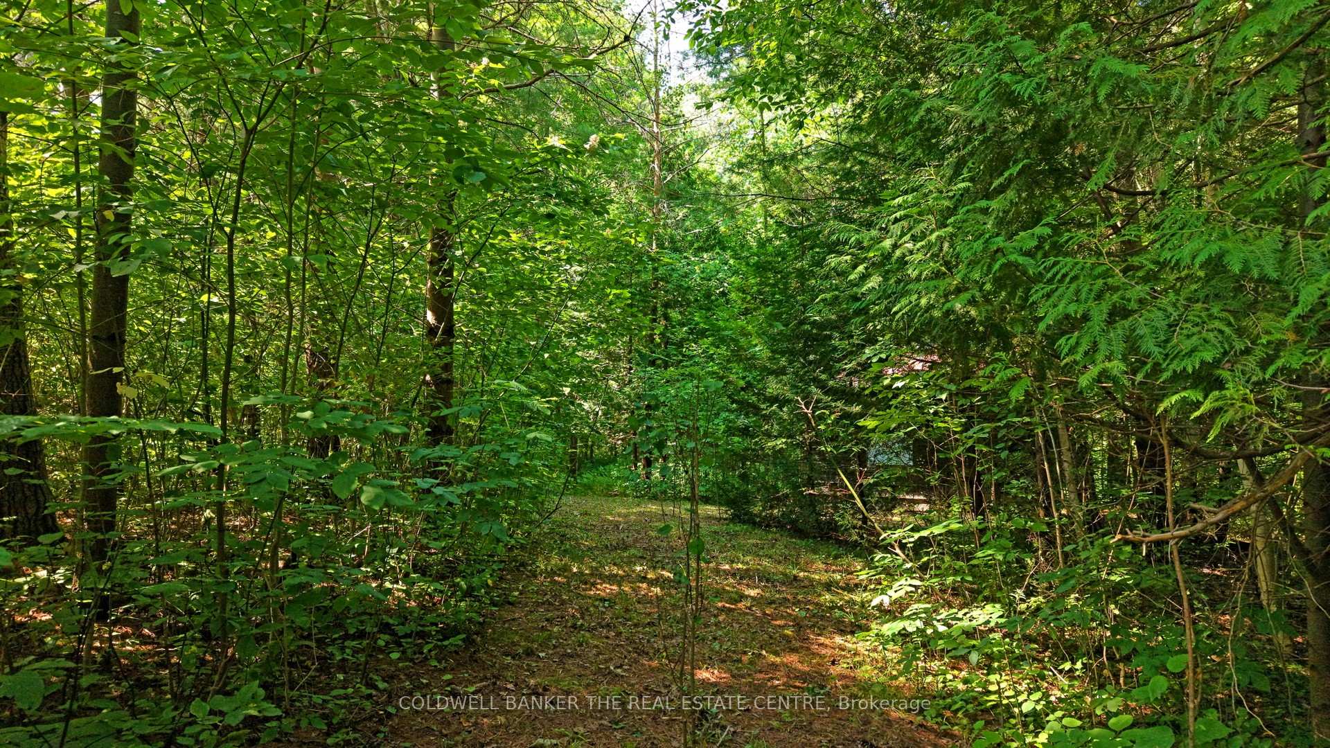 Photo 16 of 15600 Weston Road, King, Rural King — HOMEH