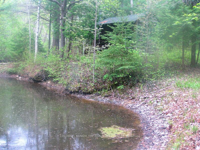 Photo 24 of 15600 Weston Road, King, Rural King — HOMEH