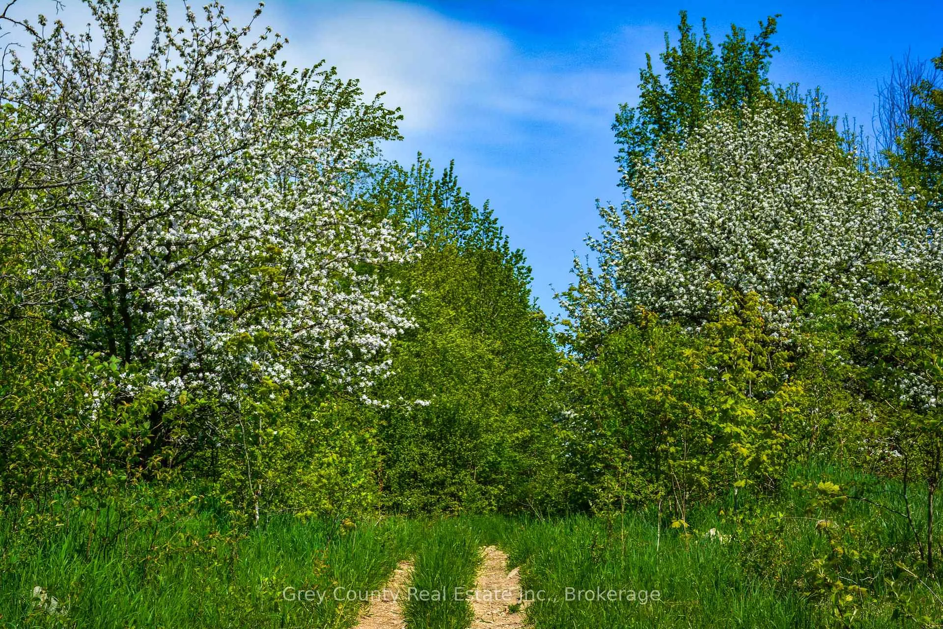 Photo 94 of 135260 9th Line, Grey Highlands — HOMEH