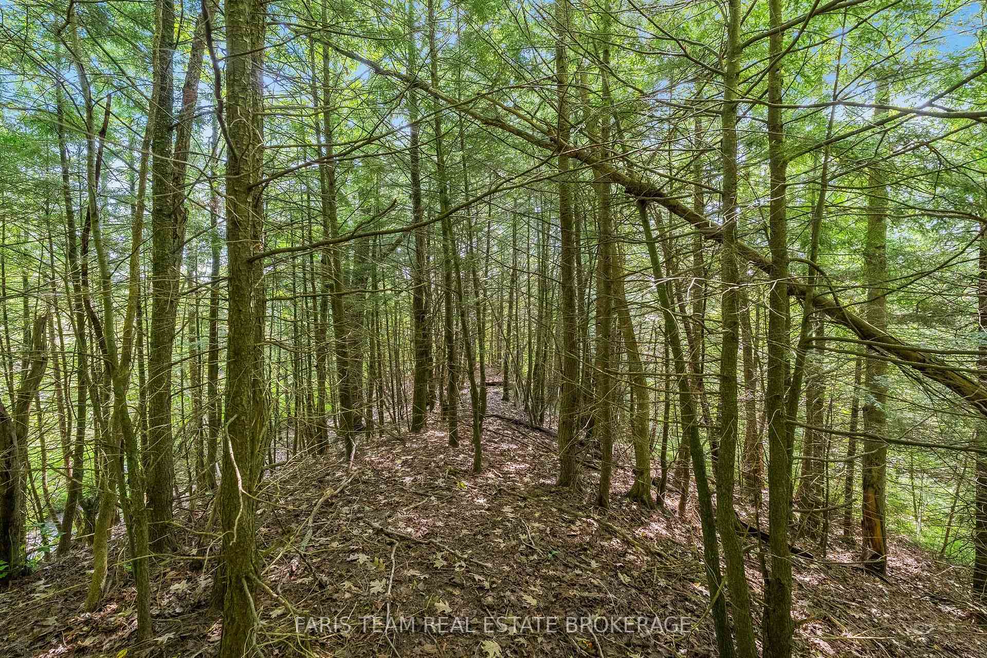Photo 19 of 5609 Line 4 N, Oro-Medonte, Rural Oro-Medonte — HOMEH