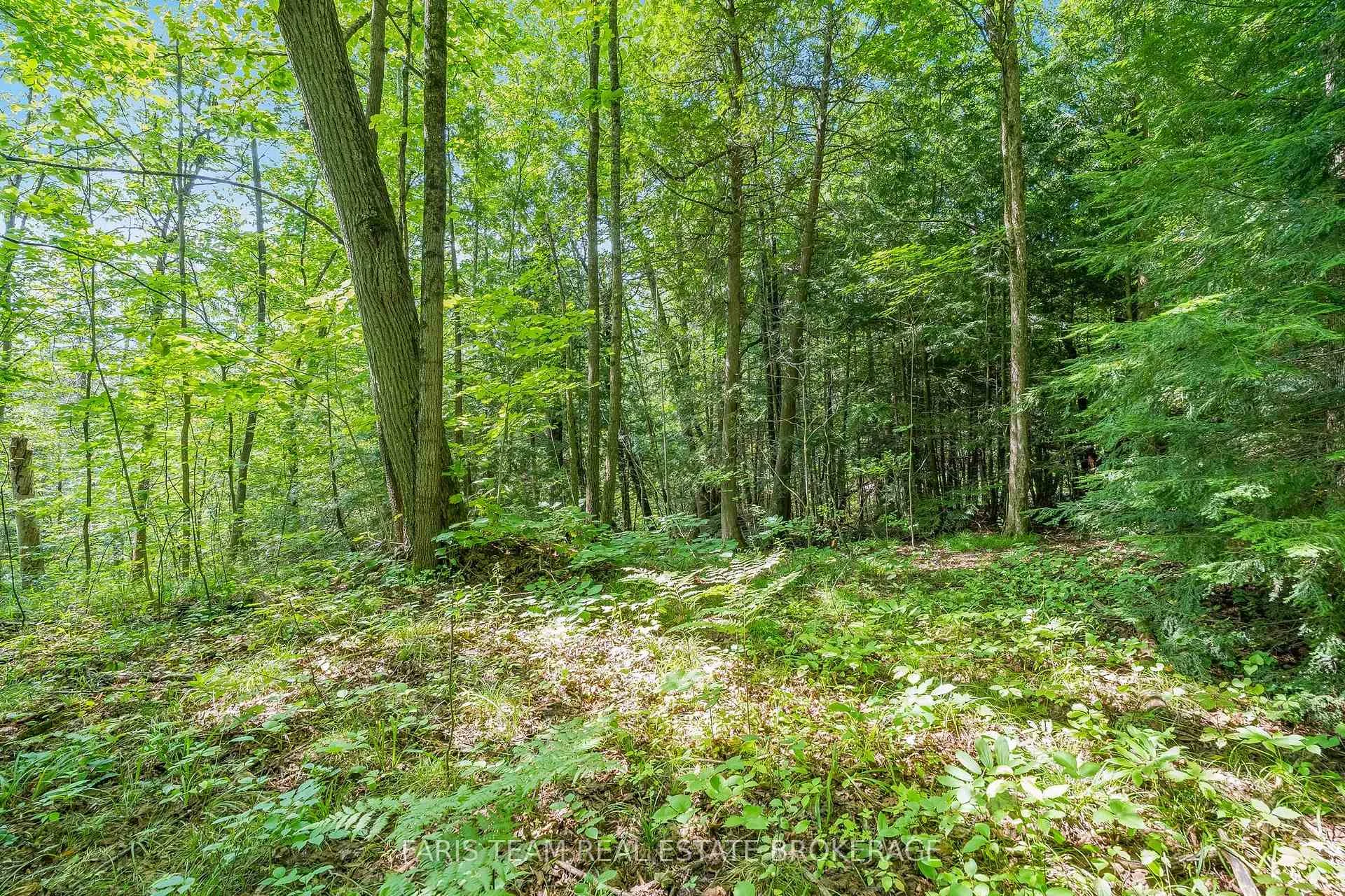 Photo 12 of 5609 Line 4 N, Oro-Medonte, Rural Oro-Medonte — HOMEH