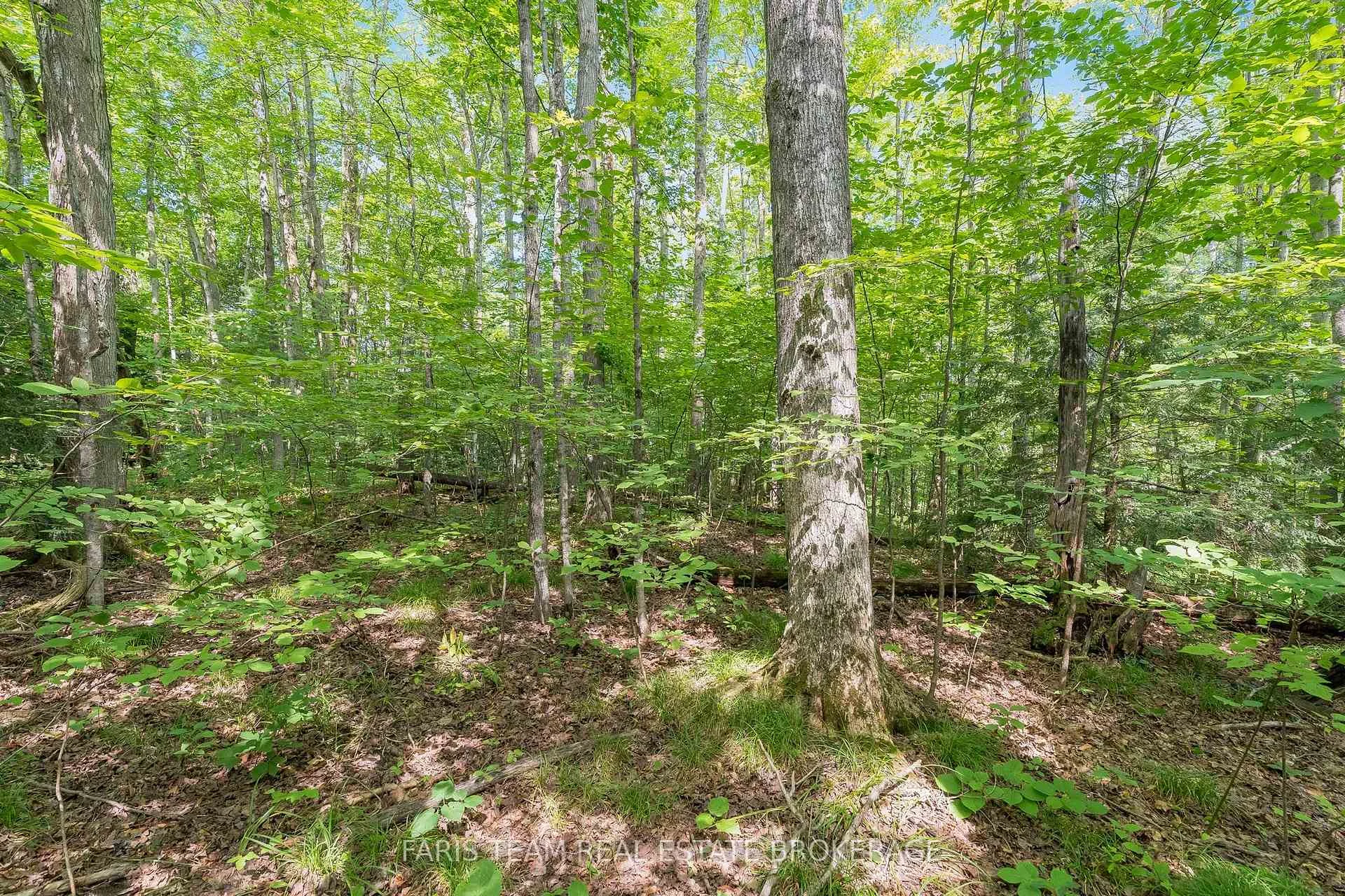 Photo 14 of 5609 Line 4 N, Oro-Medonte, Rural Oro-Medonte — HOMEH