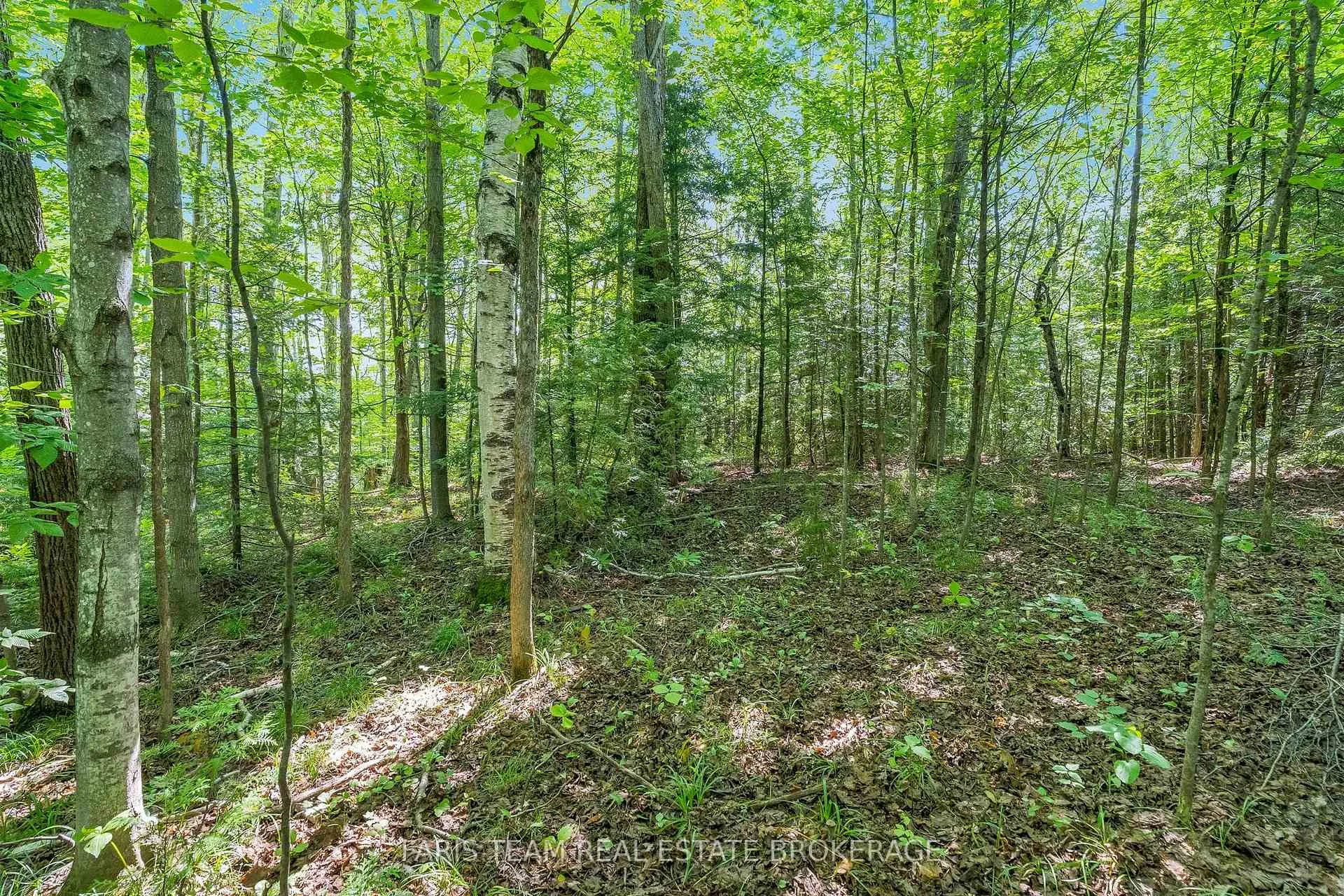 Photo 16 of 5609 Line 4 N, Oro-Medonte, Rural Oro-Medonte — HOMEH