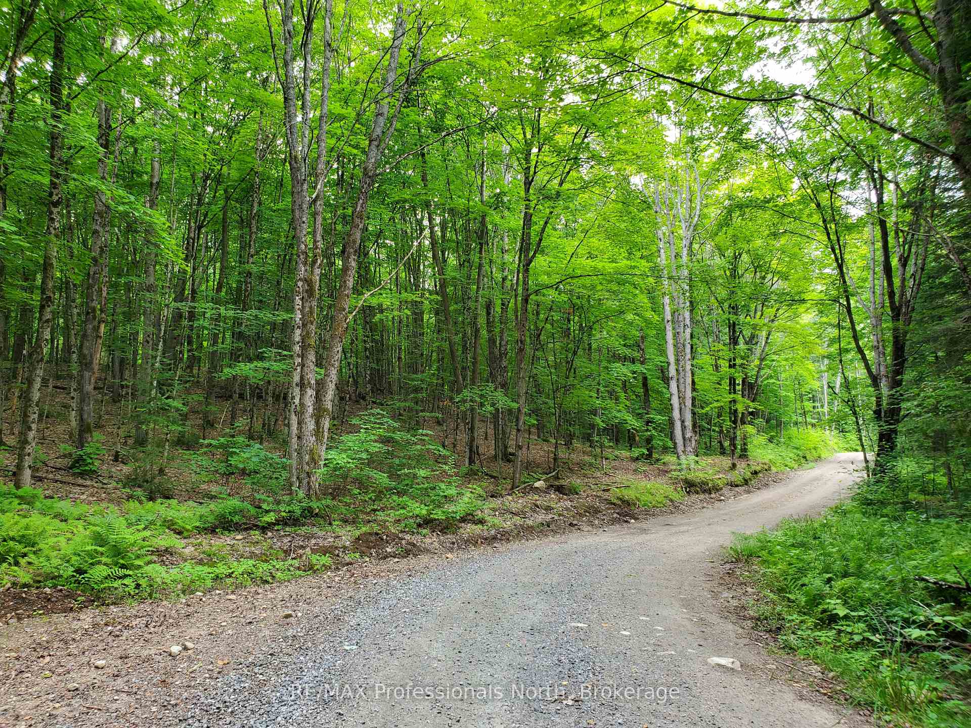 Photo 3 of Buckslide Road, Algonquin Highlands, Stanhope — HOMEH