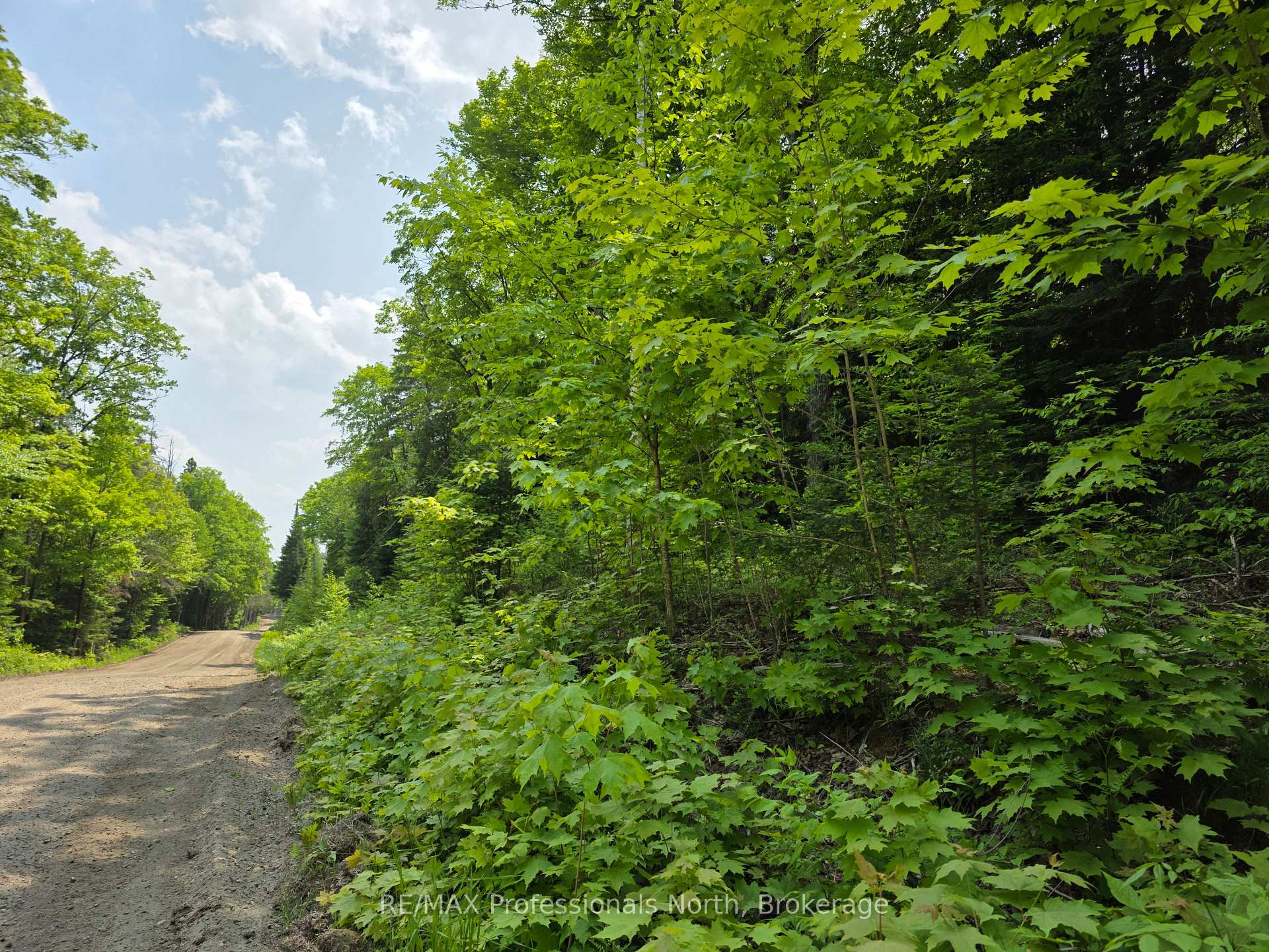 Photo 4 of Buckslide Road, Algonquin Highlands, Stanhope — HOMEH