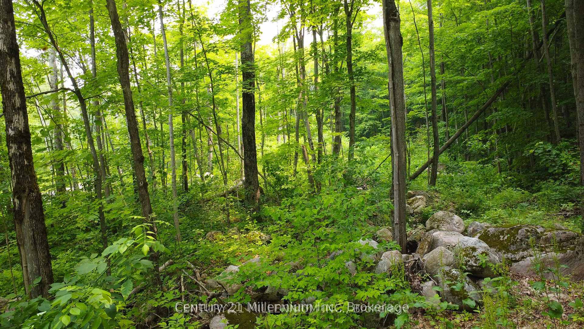Photo 6 of 1963 Lot 52 Tiny Beaches Road N, Tiny, Rural Tiny — HOMEH