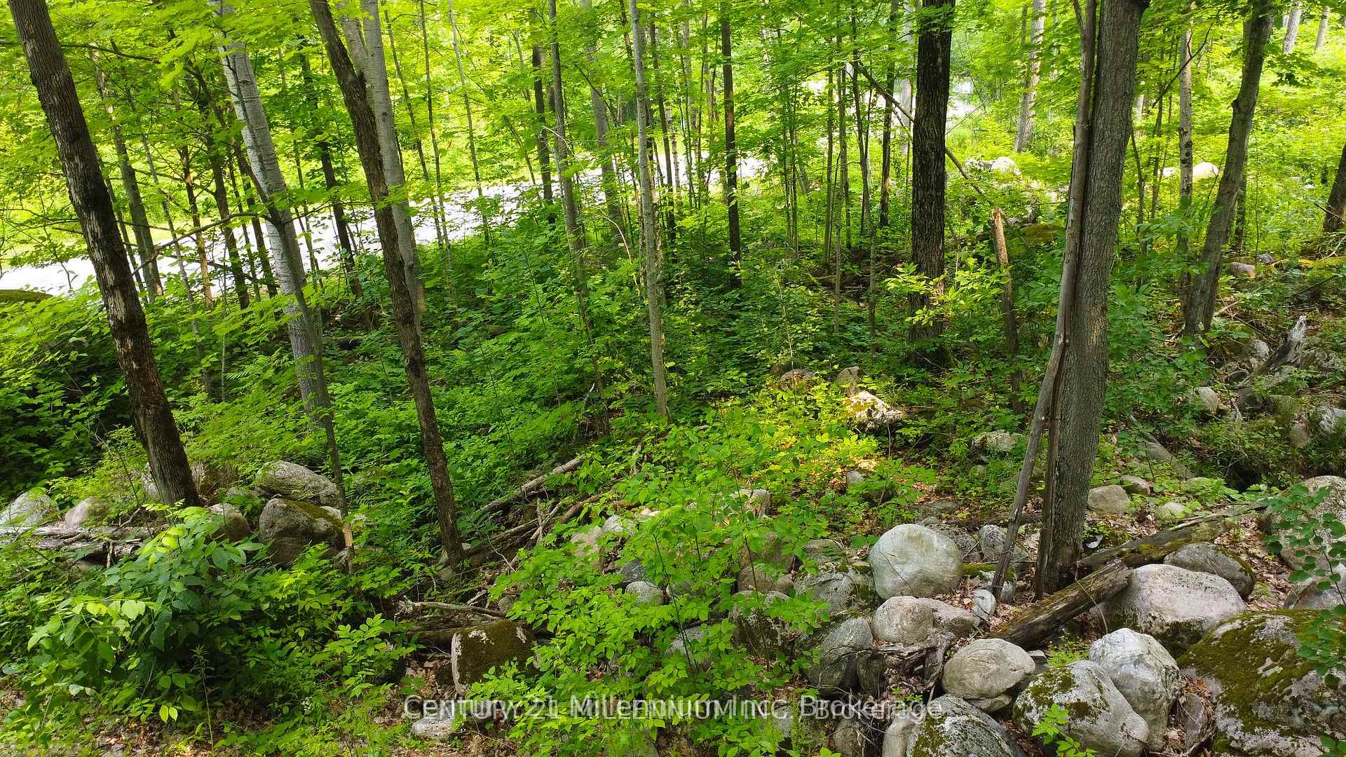 Photo 7 of 1963 Lot 52 Tiny Beaches Road N, Tiny, Rural Tiny — HOMEH