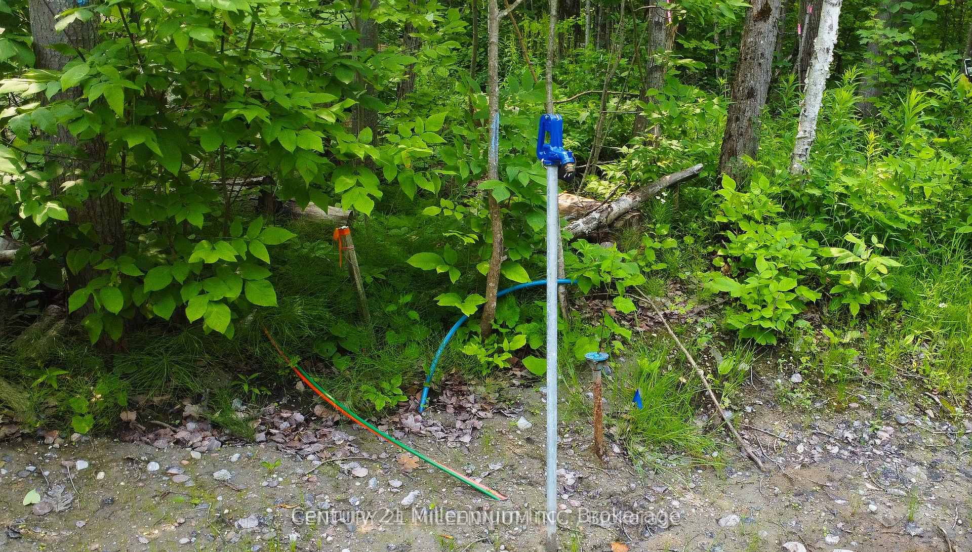 Photo 9 of 1963 Lot 52 Tiny Beaches Road N, Tiny, Rural Tiny — HOMEH